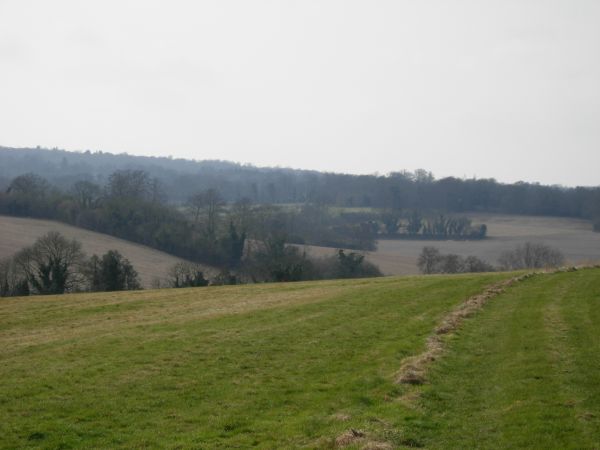 Epsom Downs view